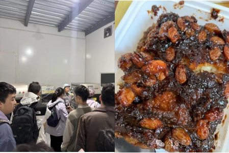 开展“感悟非遗匠心·传承千年文脉”主题调研活动CQ9电子游戏网站杨凌非遗协会与钱学森书院携手(图1)