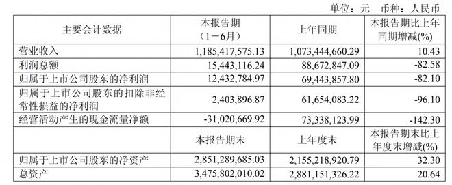 年增收不增利咖啡业务增长超六成CQ9电子有限公司佳禾食品上半(图2)